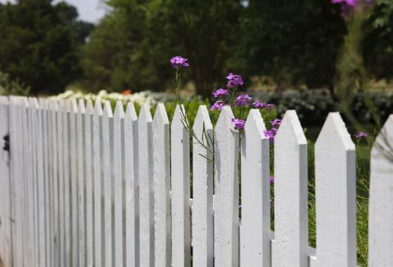 Fencing 