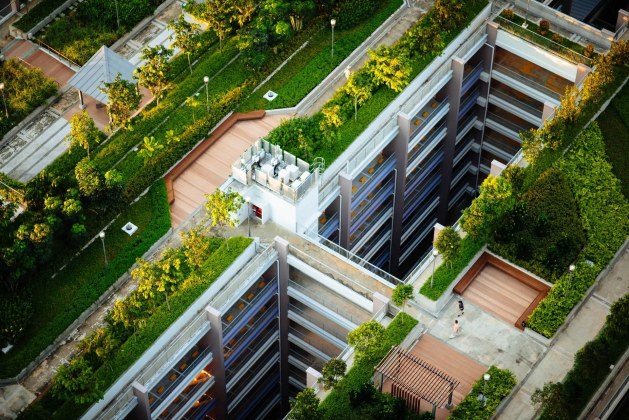 How Green Building Practices Lead to Lower Carbon Dioxide Levels