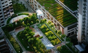 Green Roofs and Living Walls: An Overview of Benefits and Installation