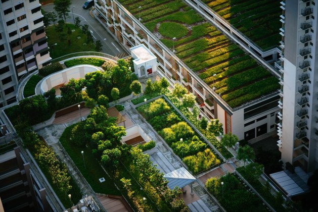Green Roofs and Living Walls: An Overview of Benefits and Installation